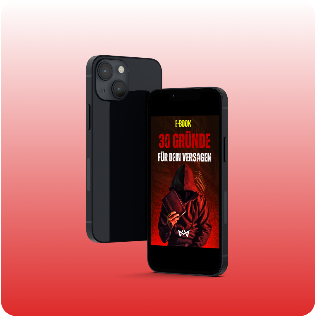30 Gründe für dein Versagen eBook